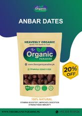 ANBAR DATES