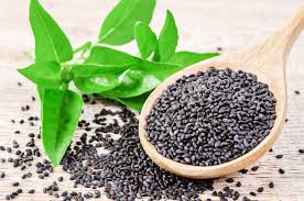 BASIL SEED The Organic Paradise