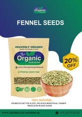 FENNEL SEEDS