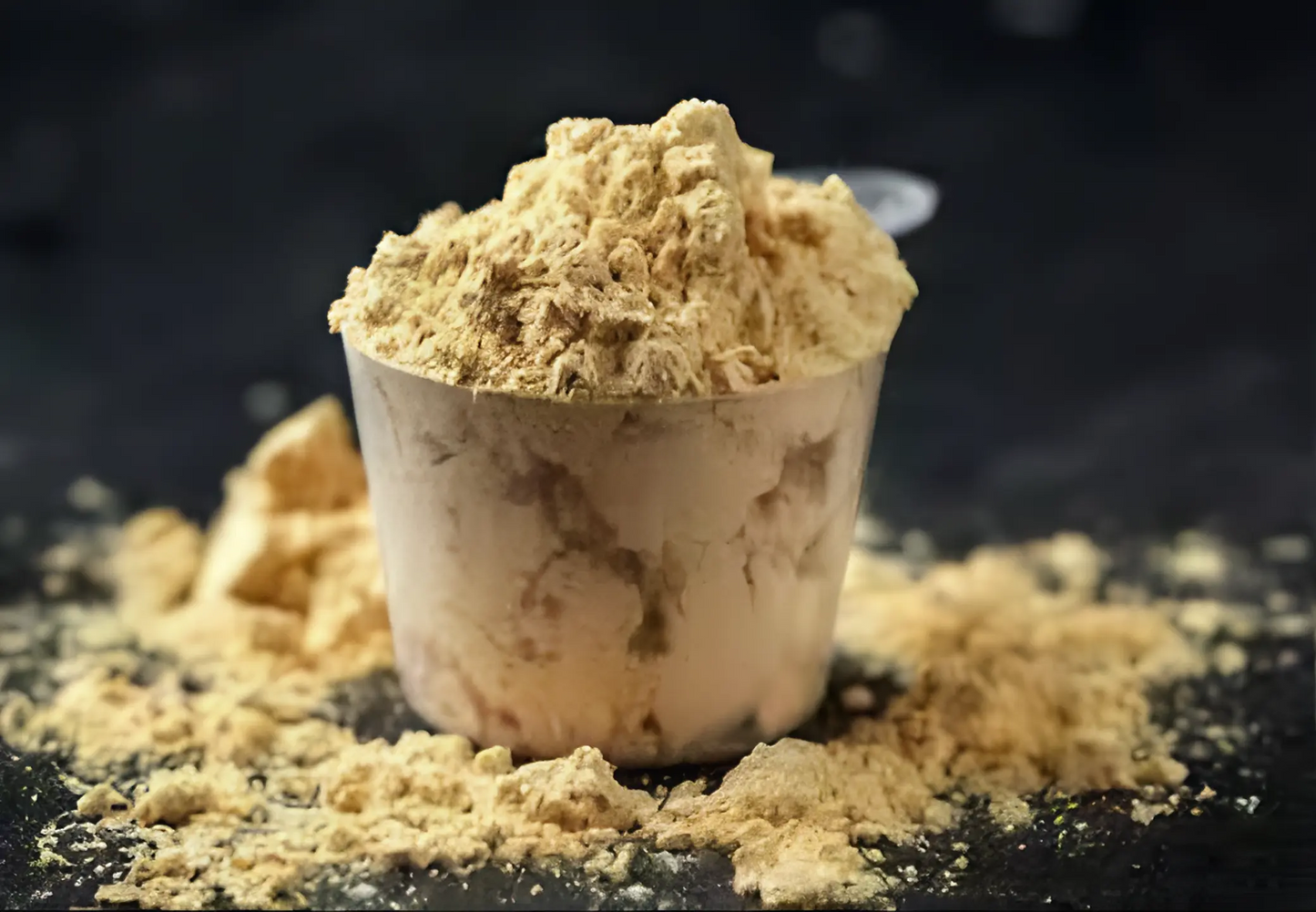 PROTEIN POWDER FOR MUSCLE GAIN The Organic Paradise