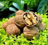 WALNUTS WITH SHELL (DESI) The Organic Paradise