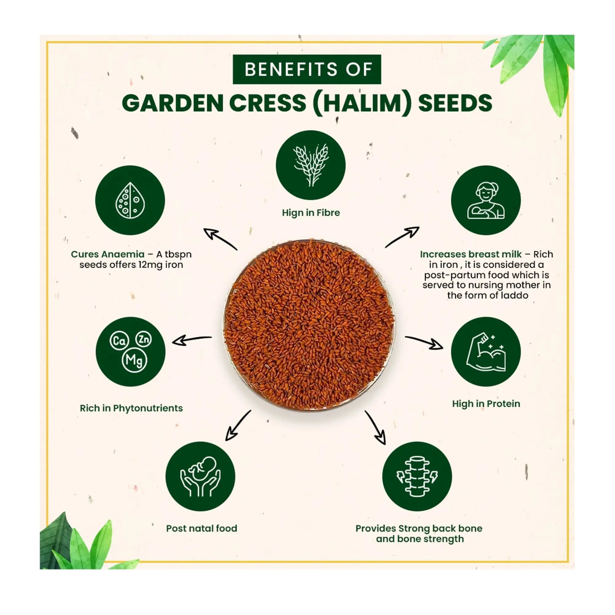 Discover-the-Incredible-Health-Benefits-of-Haloon-Seeds-HALOON-SEEDS-BENEFITS theorganicparadise.pk