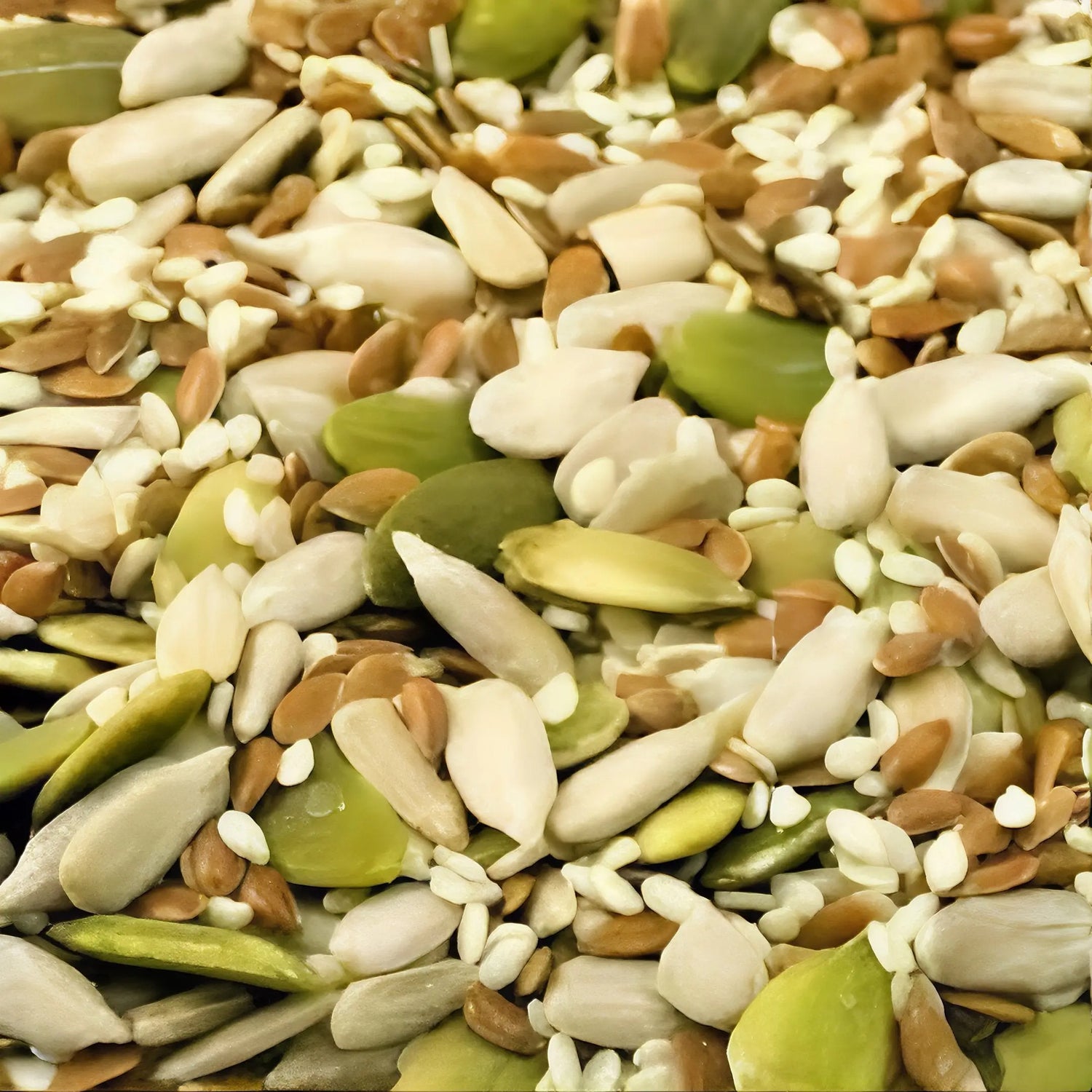 SEEDS theorganicparadise.pk