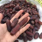 ANBAR DATES The Organic Paradise