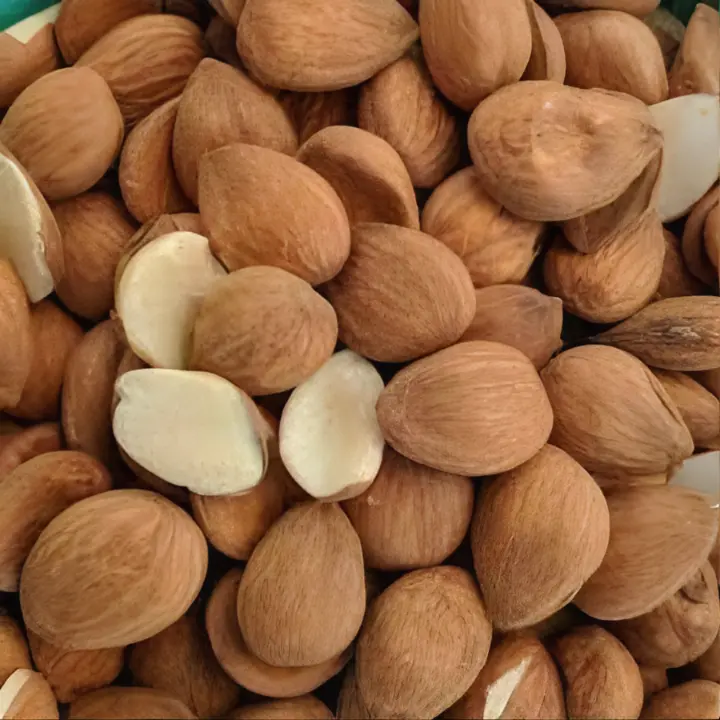 APRICOT WITH SEEDS The Organic Paradise