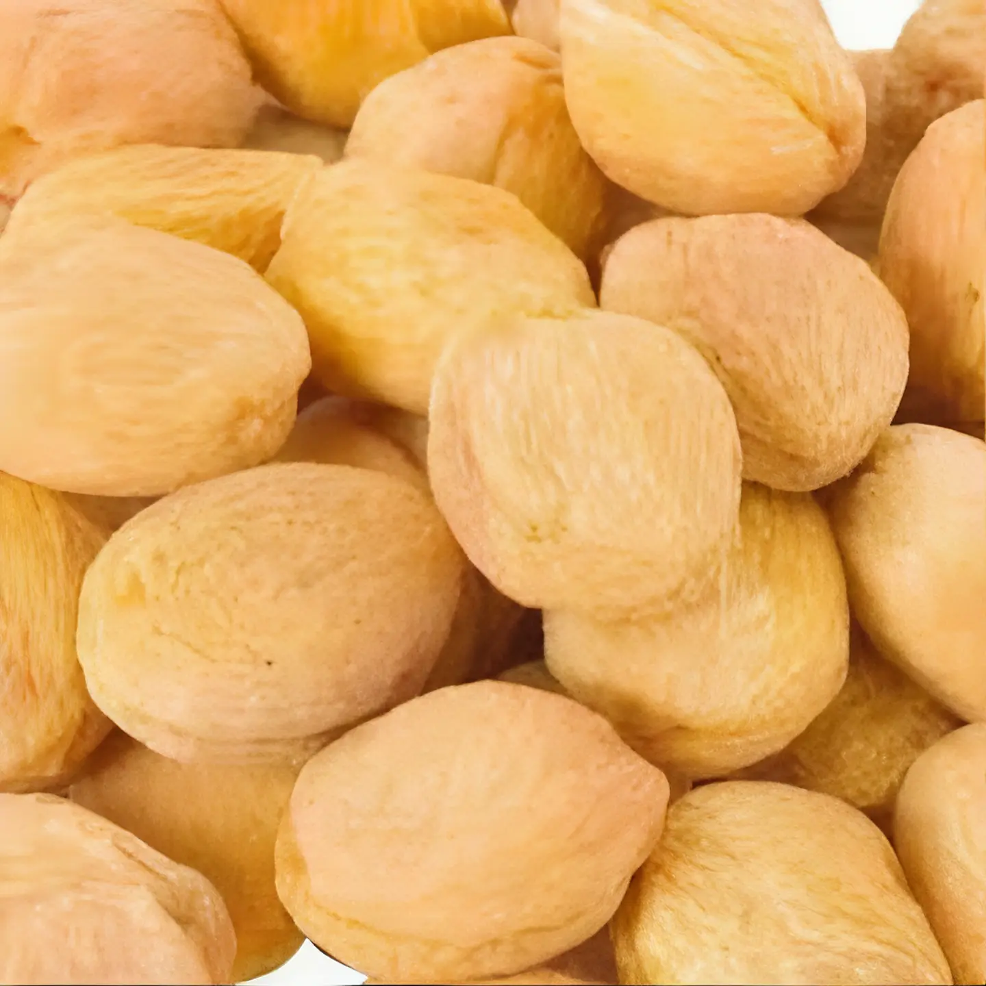 APRICOT WITH SEEDS The Organic Paradise