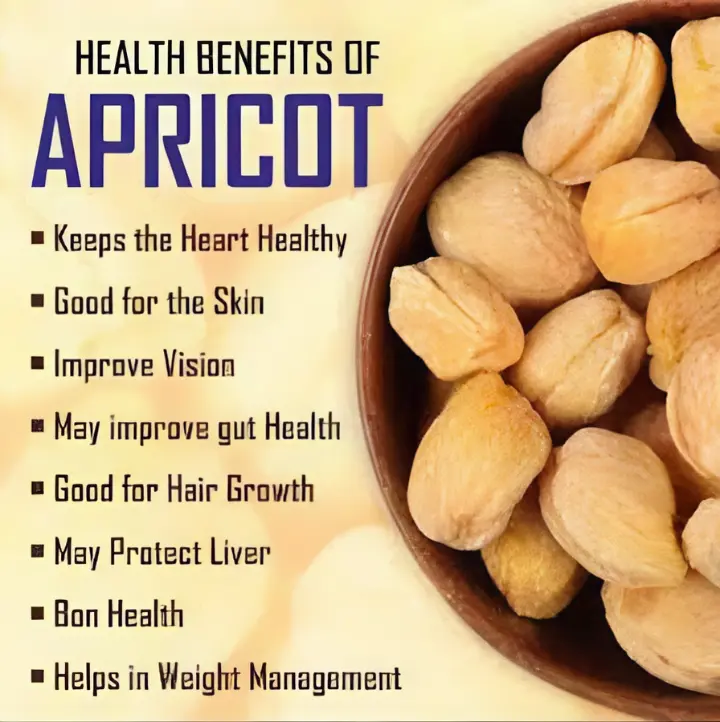 APRICOT WITH SEEDS The Organic Paradise