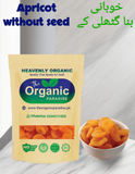 APRICOT WITHOUT SEED The Organic Paradise