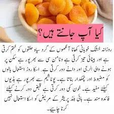 APRICOT WITHOUT SEED The Organic Paradise