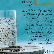 BASIL SEED The Organic Paradise