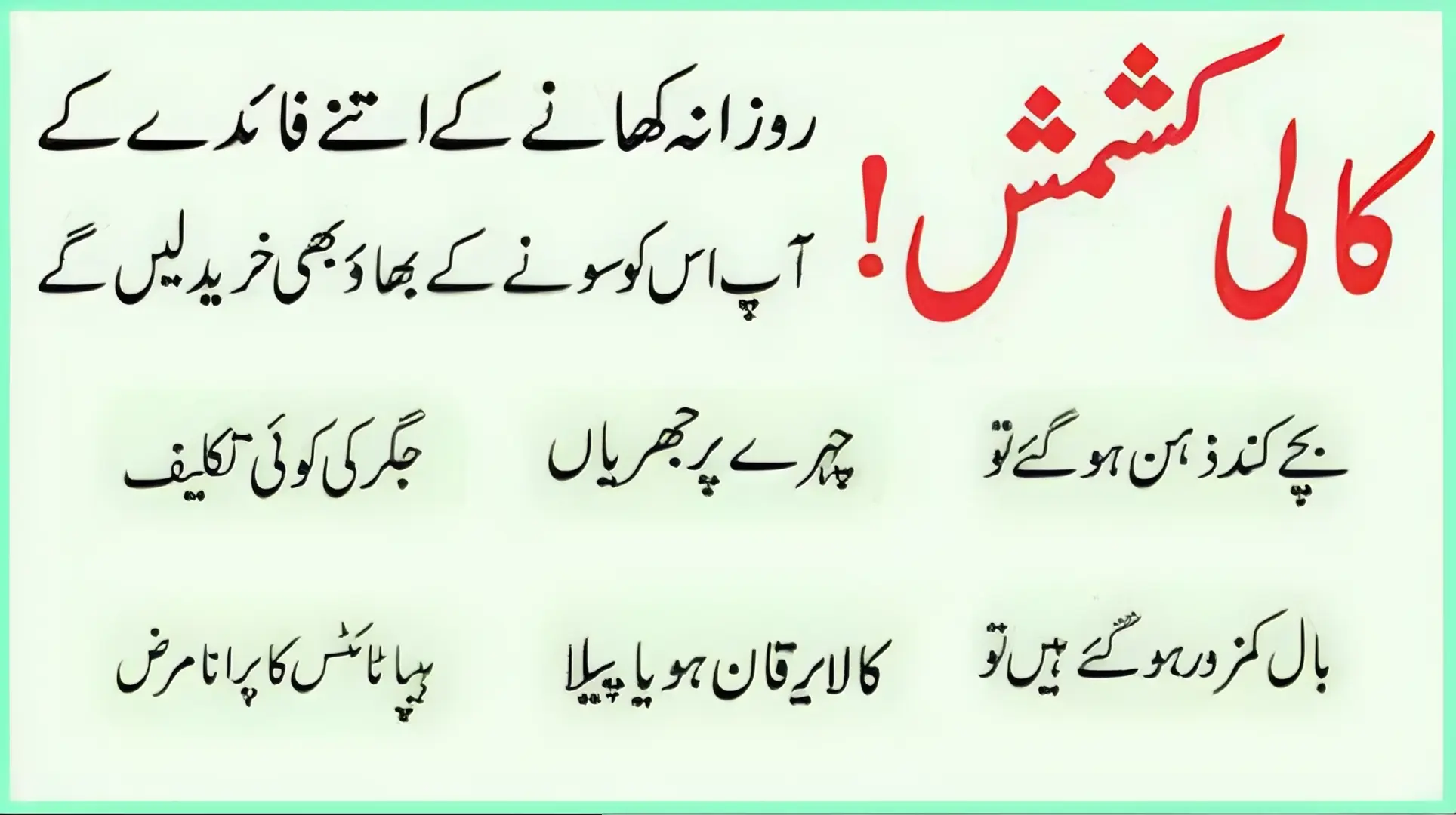 BLACK RAISINS The Organic Paradise