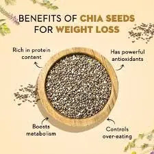 CHIA SEEDS The Organic Paradise