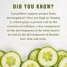 CUCUMBER SEEDS My Store