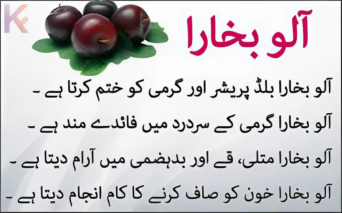 DRIED PLUMS The Organic Paradise