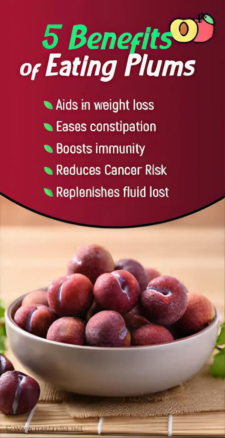 DRIED PLUMS The Organic Paradise