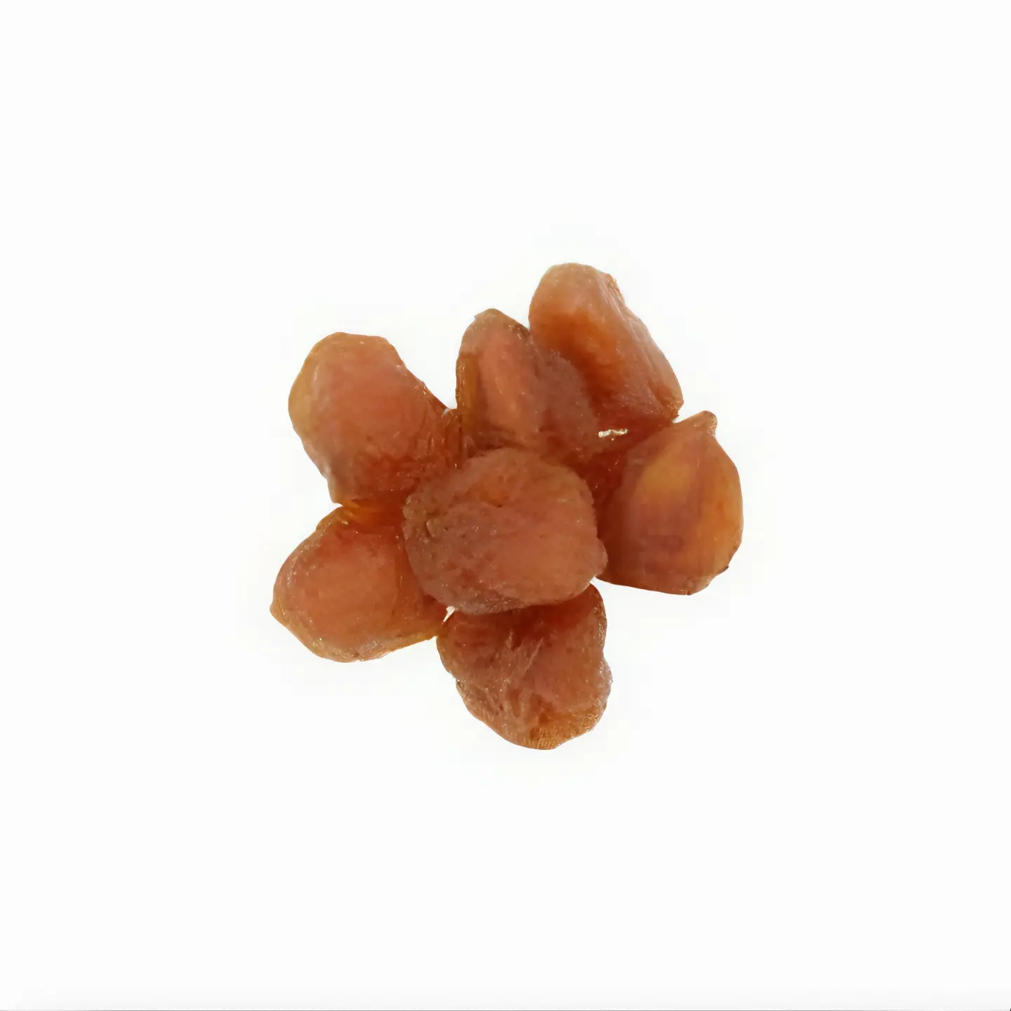 DRIED PLUMS The Organic Paradise