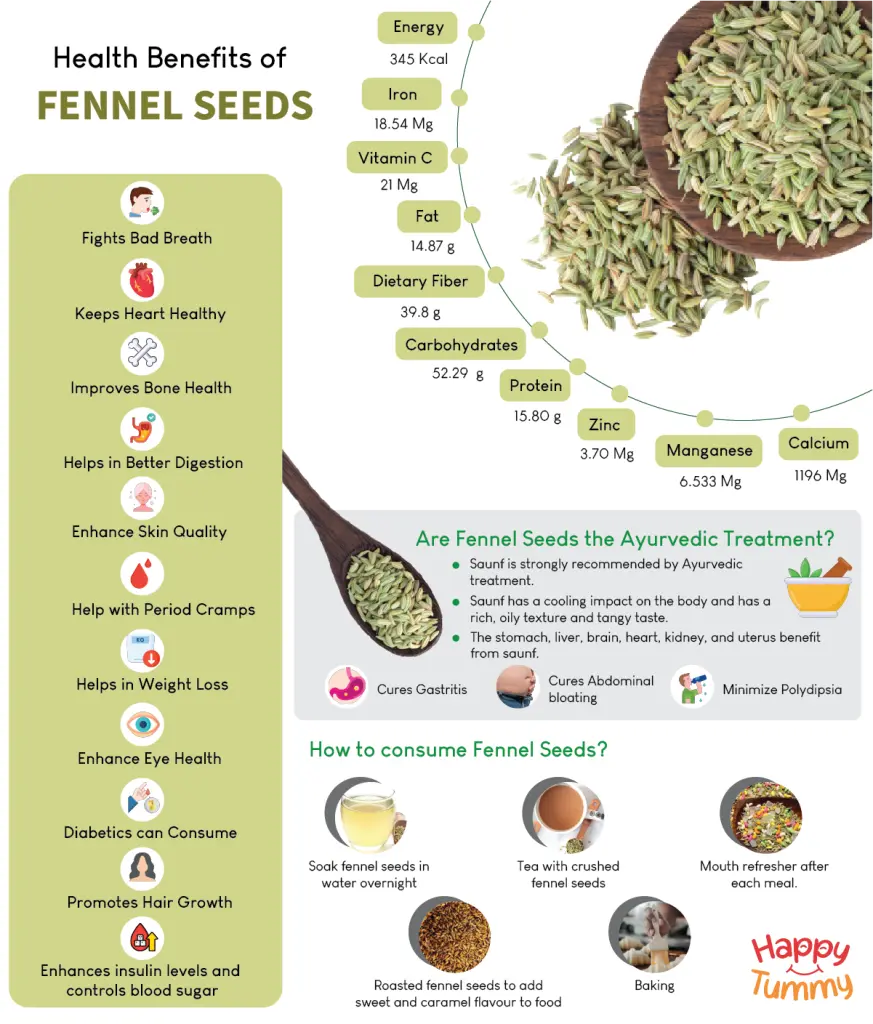 FENNEL SEEDS The Organic Paradise