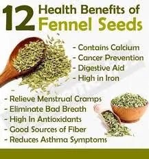 FENNEL SEEDS The Organic Paradise