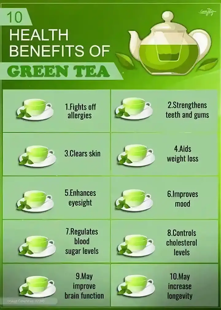 GREEN TEA The Organic Paradise