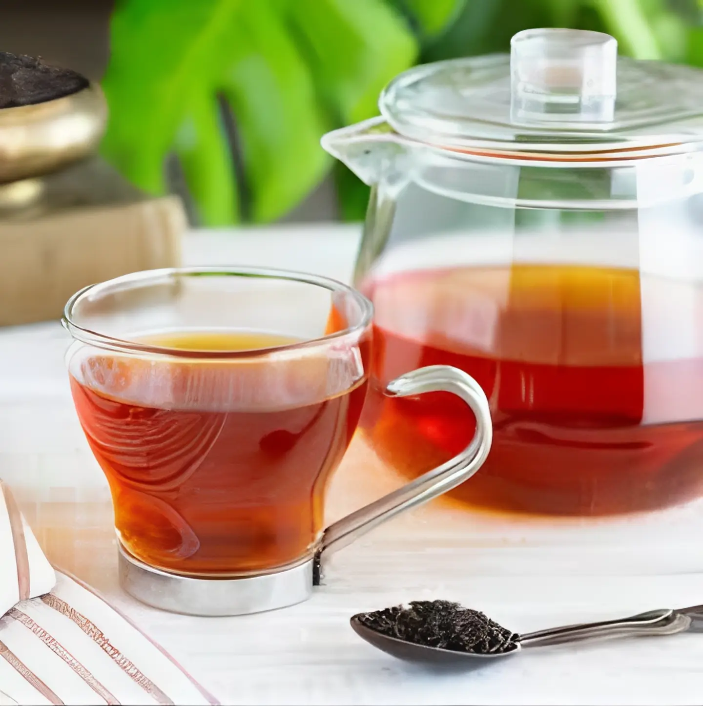GREEN TEA The Organic Paradise