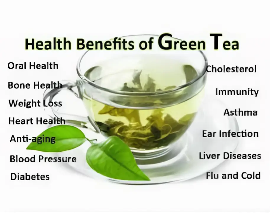 GREEN TEA The Organic Paradise