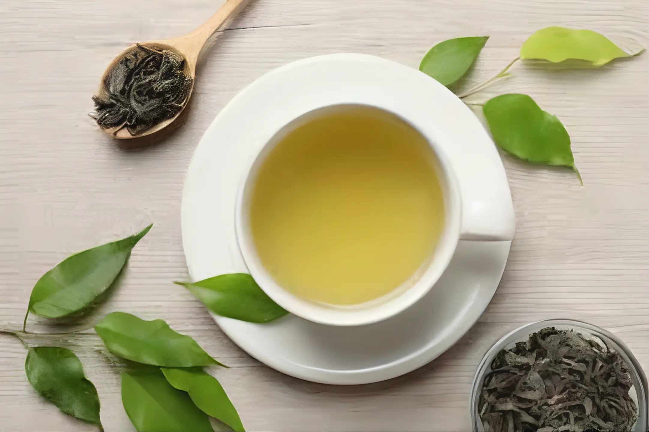 GREEN TEA The Organic Paradise