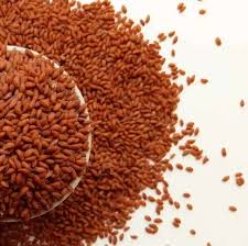 HALOON/HALEEM SEEDS The Organic Paradise