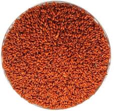 HALOON/HALEEM SEEDS The Organic Paradise