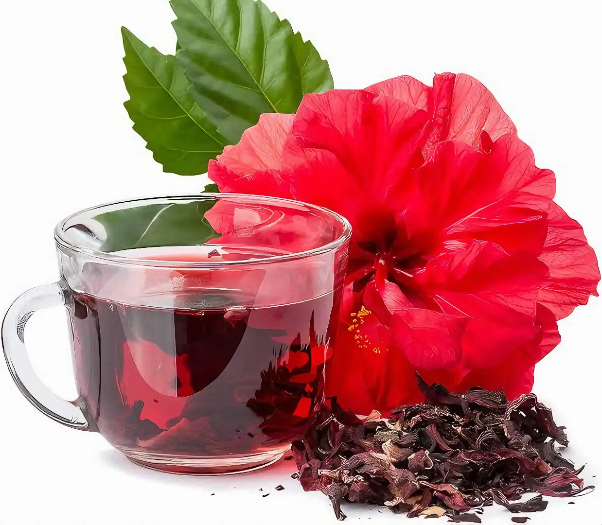 HIBISCUS TEA The Organic Paradise