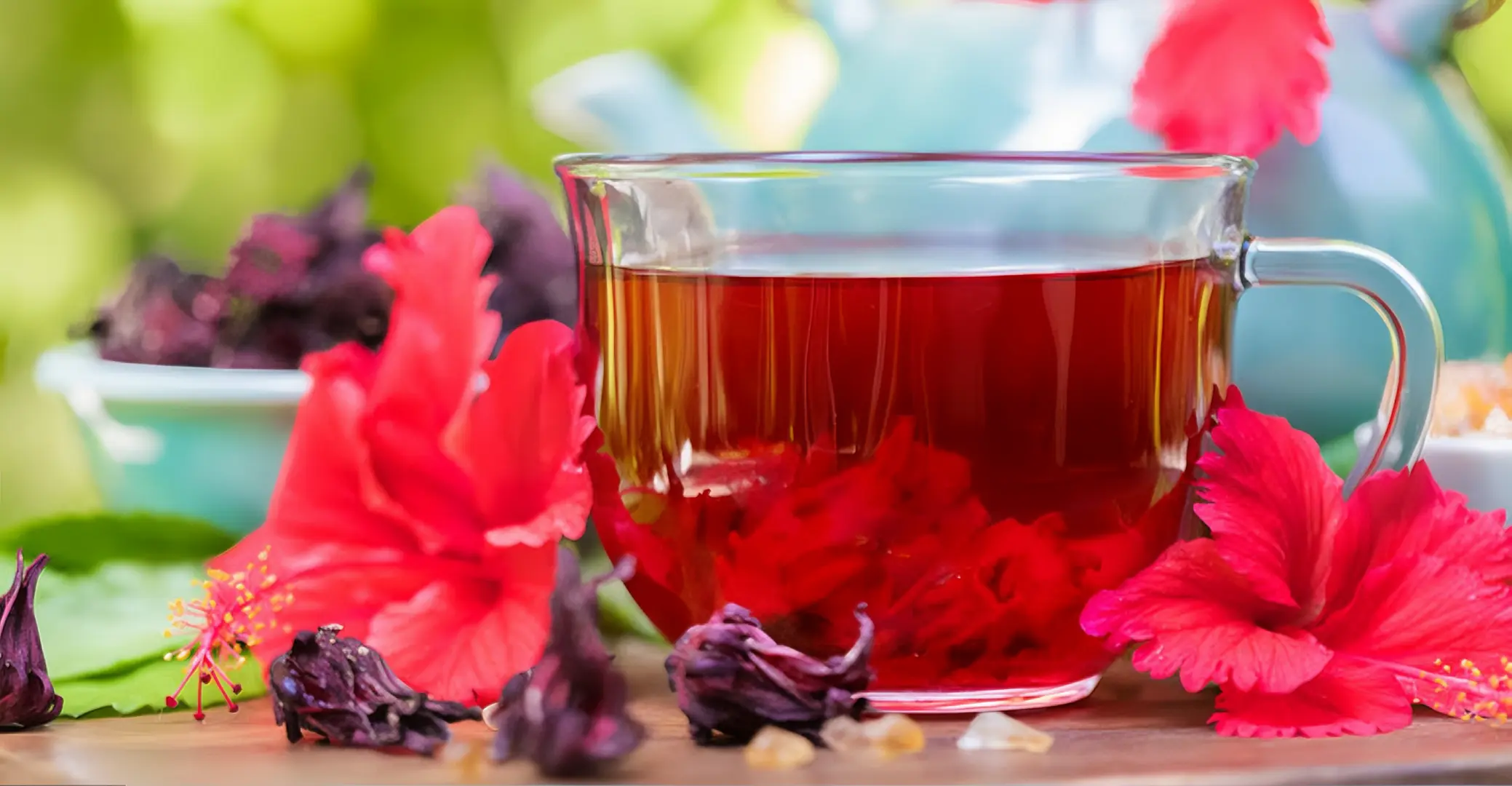 HIBISCUS TEA The Organic Paradise