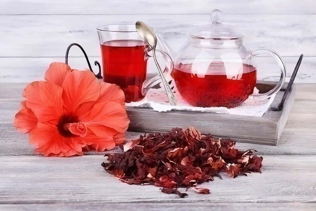 HIBISCUS TEA The Organic Paradise