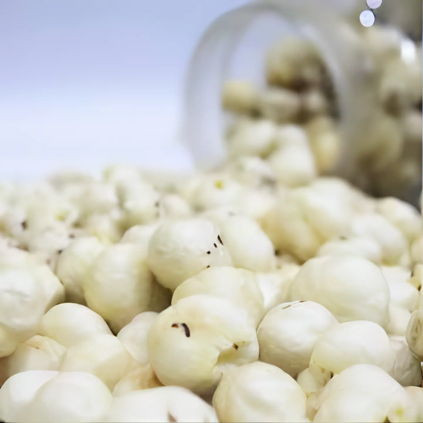 LOTUS SEEDS The Organic Paradise