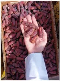 MABROOM DATES The Organic Paradise