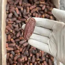 MABROOM DATES The Organic Paradise