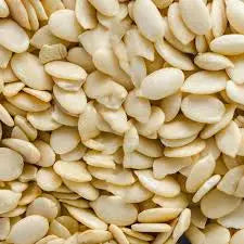 MELON SEEDS / TARBOOZ MAGHAZ The Organic Paradise