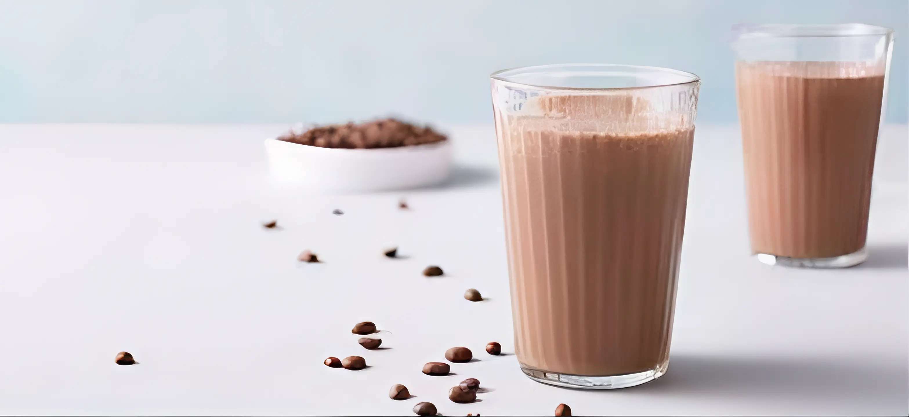 MUSCLE GAIN Protein Powder (chocolate flavour The Organic Paradise