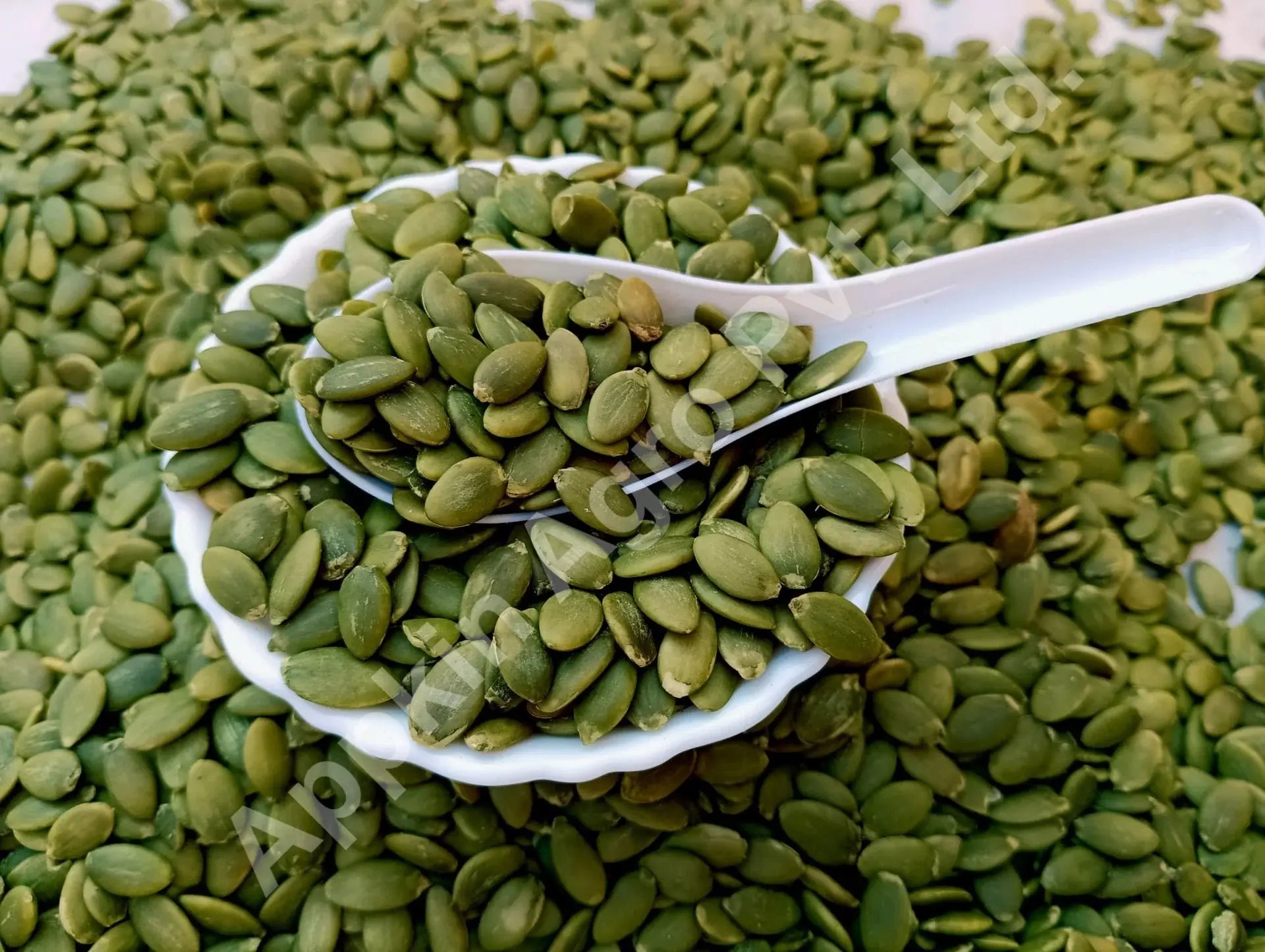 PUMPKIN SEEDS The Organic Paradise