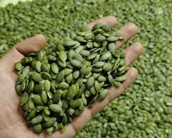 PUMPKIN SEEDS The Organic Paradise