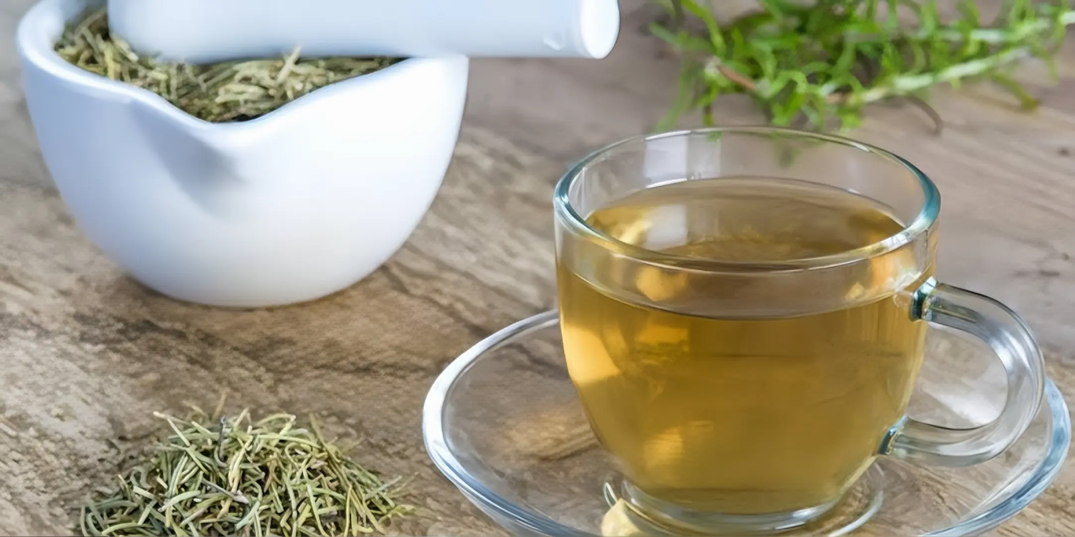 ROSEMARY TEA The Organic Paradise
