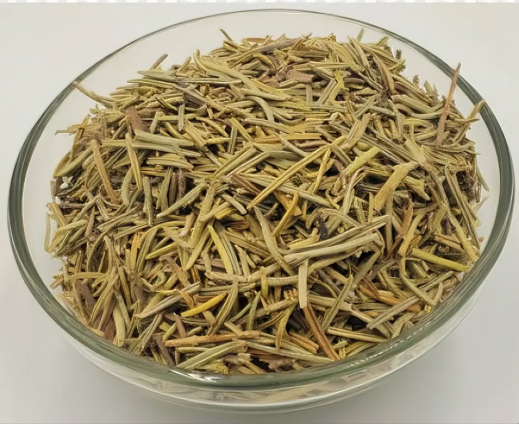 ROSEMARY TEA The Organic Paradise