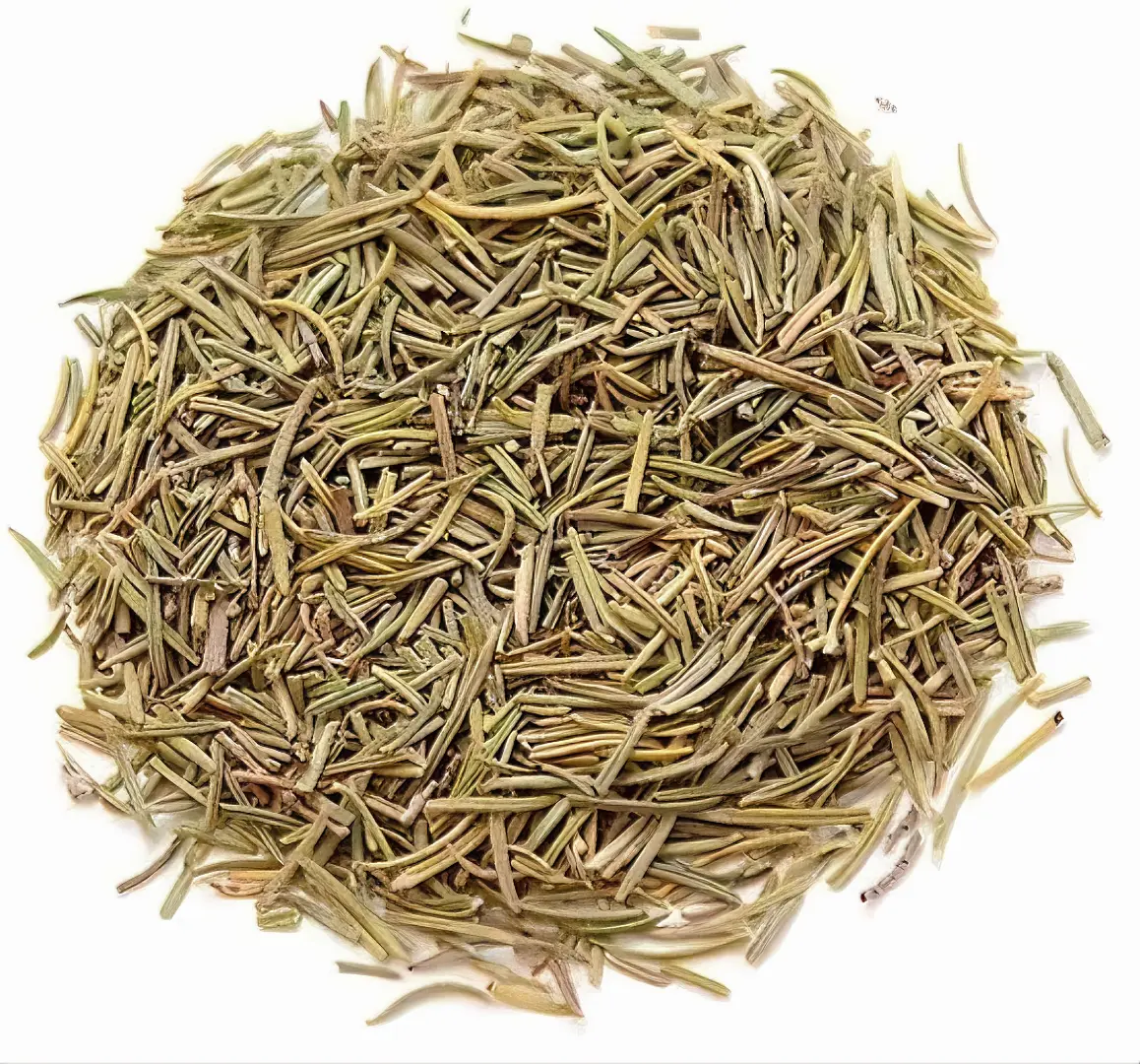 ROSEMARY TEA The Organic Paradise