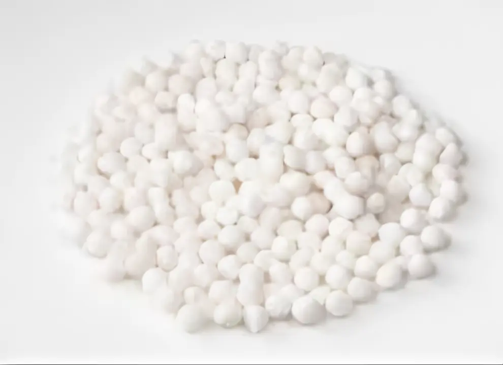 SAGO PEARLS The Organic Paradise