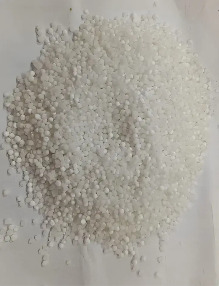 SAGO PEARLS The Organic Paradise