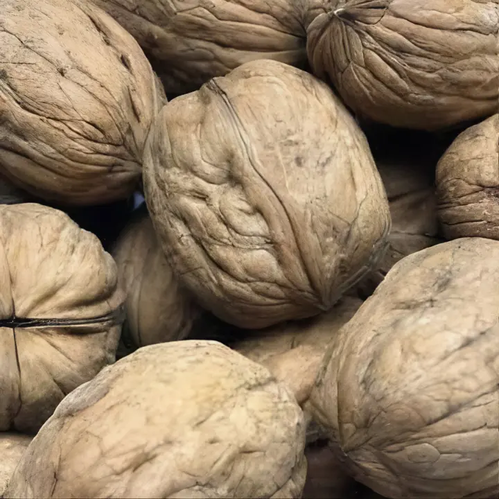 WALNUTS WITH SHELL (DESI) The Organic Paradise