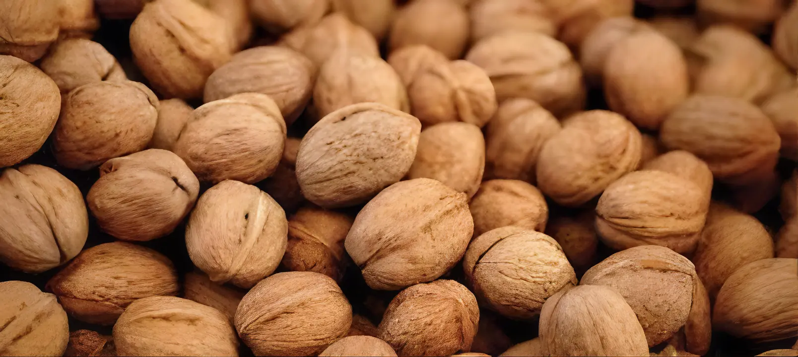 WALNUTS WITH SHELL (DESI) The Organic Paradise
