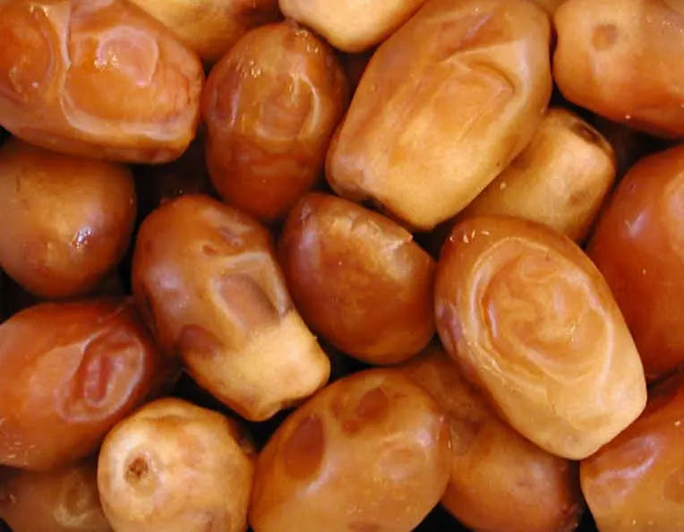 ZAHIDI DATES The Organic Paradise